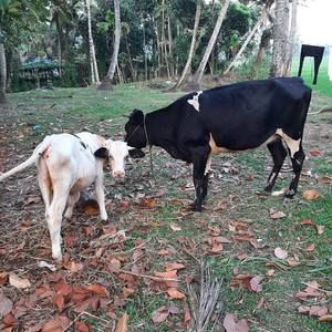 Meet your Posher, Debra